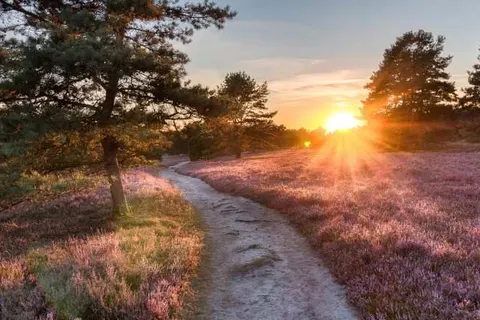 Amrâth Hotel Lapershoek Arenapark foto 21