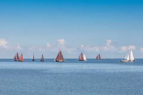 B&B Kunstkamer Franeker foto 29