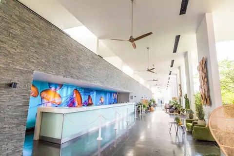 Papagayo Beach Hotel in Willemstad — foto 22