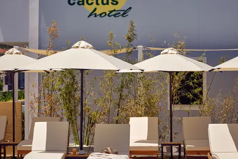 Cactus Hotel in Δημοτική Ενότητα Λαγανά — foto 23