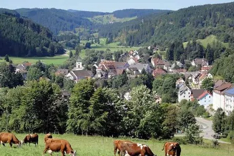 Hotel Restaurant Schwörer foto 15