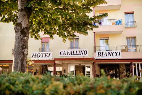 Hotel Cavallino Bianco in Ca' di Valle — foto 14