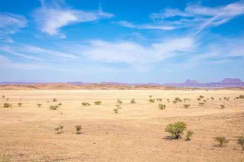14 daagse reis Ontdek Namibië excl vlucht foto 5