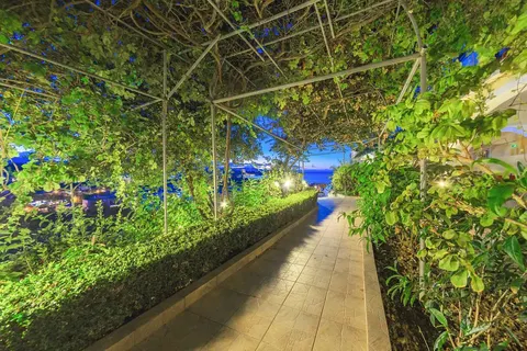 Zante Palace Hotel foto 12