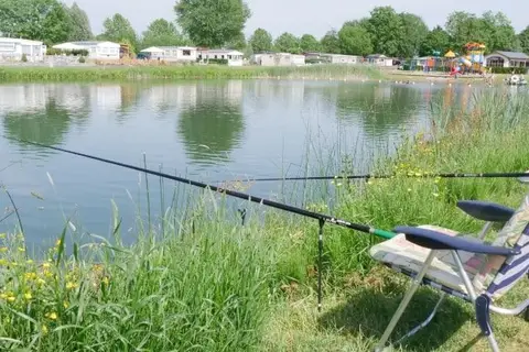 Betuwe in Kesteren — foto 8