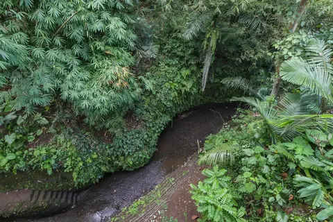 Adiwana Jembawan in Ubud, foto 13