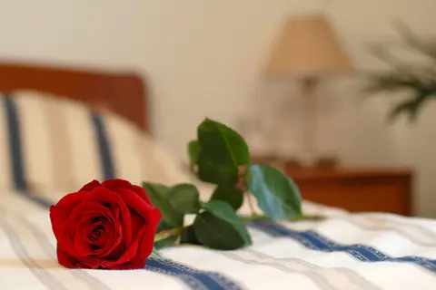 Hotel Rosina in Rijeka — foto 7