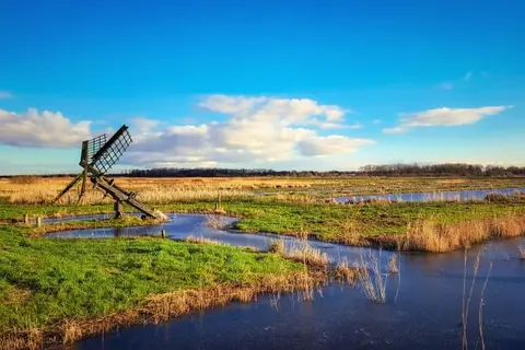 Herberg Het Rechthuis in Rinsumageast — foto 18