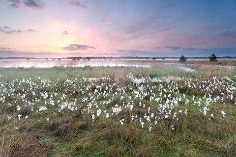 Parkhotel Auberge Vincent foto 20