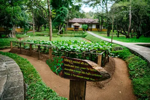 Amaya Lake Hotelresort in Sigiriya — foto 24