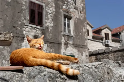 Ontdek Albanië en Montenegro foto 22