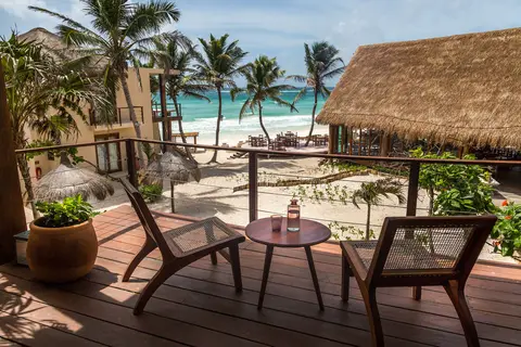 La Zebra in Cancún — foto 8