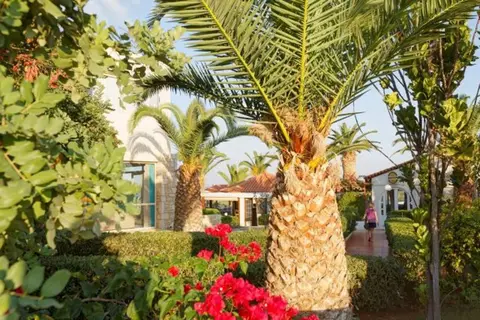 Cretan Garden in Δημοτική Ενότητα Χερσονήσου — foto 27
