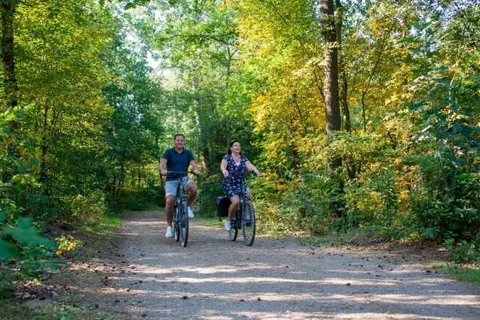 Vakantiepark De Wiltzangh in Ruinen — foto 12