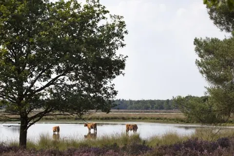 Hotel Arrows Uden foto 26