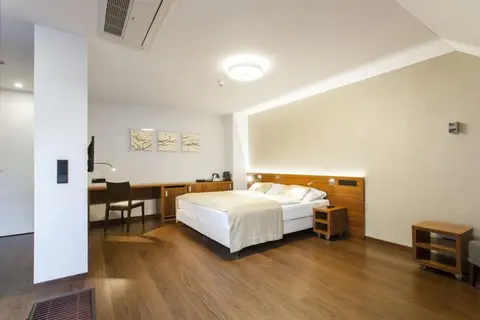 Hotel Carol in Praag — foto 14