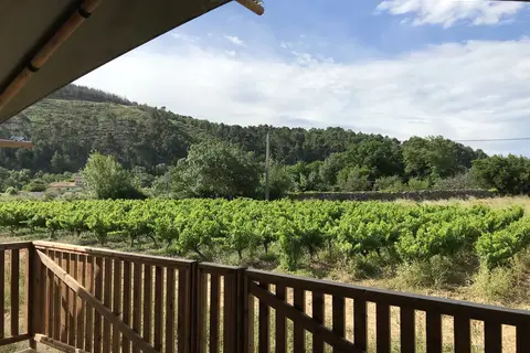 Camping De L Olivigne in Bize-Minervois — foto 12