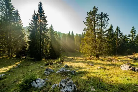 Camping Ekar Asiago in Asiago — foto 2