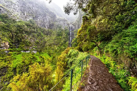 Mooi Madeira foto 6