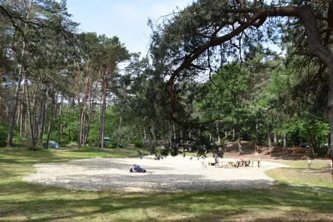 Camping Horstmannsbos foto 13