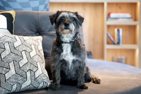 Moxy The Hague foto 18