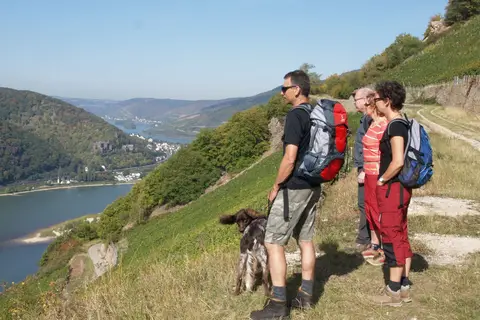 Hotel Felsenkeller in Rüdesheim am Rhein — foto 2