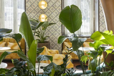 Heritage Avenida Liberdade Boutique Hotel in Lisbon — foto 6