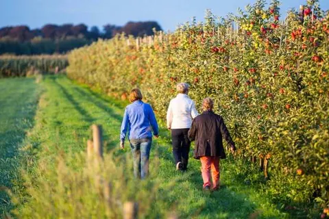 Hotel Gulpenerland foto 18