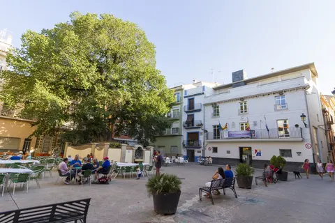 Camping Altomira foto 10