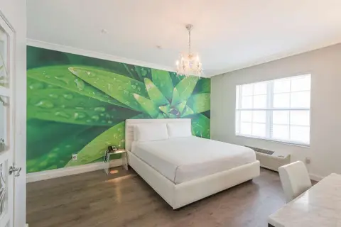 The President Hotel in Miami Beach — foto 28