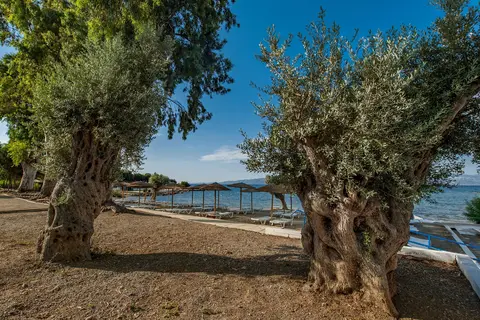 Evia Riviera Resort in Δημοτική Ενότητα Αμαρυνθίων — foto 15