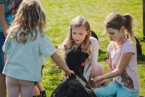 Vakantiepark De Toffe Peer foto 14