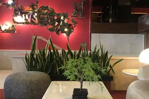 Hotel Sao Jose Fatima in Ourém — foto 15