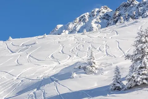 Hotel Alpina Parpan foto 28