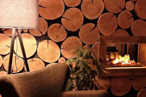 Harz Hotel Iris foto 18