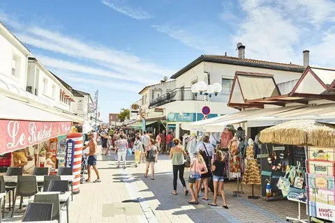 Flower Camping L Escale Du Perthuis in La Tranche-sur-Mer — foto 5
