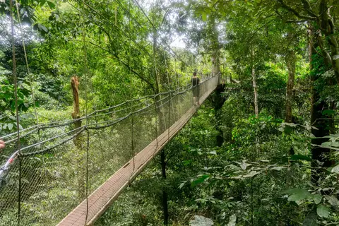Avontuurlijk Maleisië in Miri — foto 8