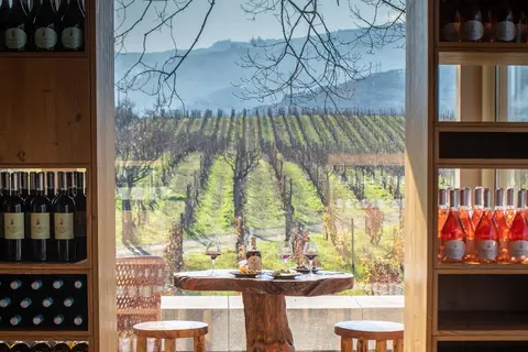 Quinta da Pacheca in Lamego, foto 13