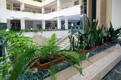 Hotel Luna in СПА център Ривиера Бийч — foto 10