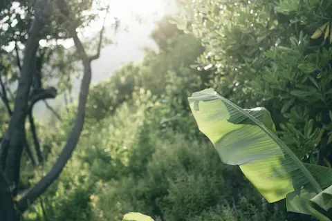 Lefay Resort & Spa Lago di Garda in Gargnano — foto 23