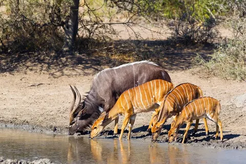 21-daagse rondreis Grand Tour Zuid-Afrika foto 4