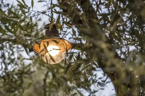 Vassilis Guest House in Δήμος Βοϊου — foto 14