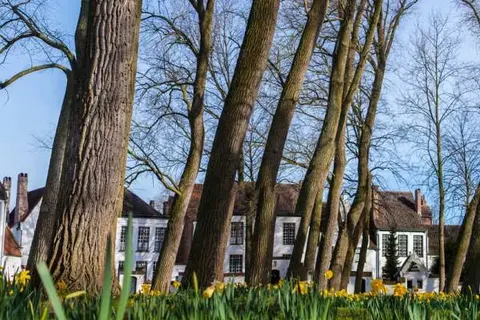 ibis budget Brugge Jabbeke foto 15