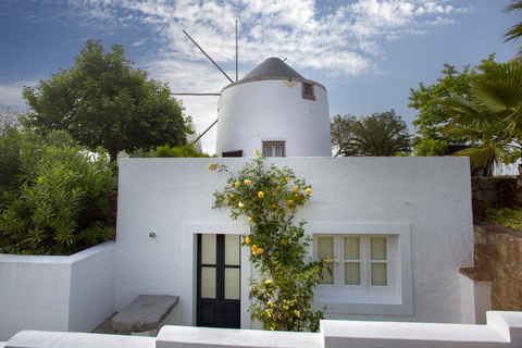 Olival de Sao Filipe foto 1