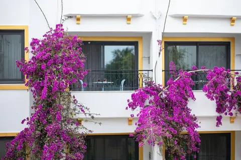Payam Hotel in Kas, foto 10