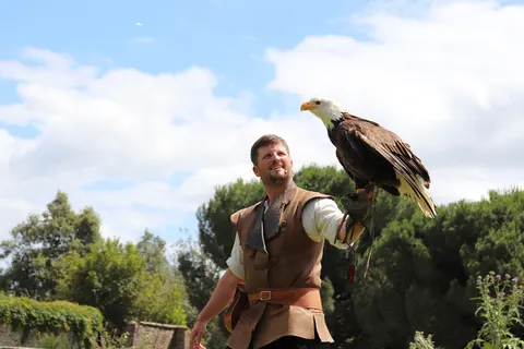 Camping De L Orangerie De Lanniron foto 17