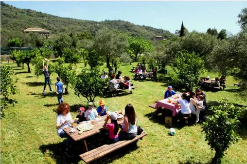 Glamping Alcantara in Motta Camastra — foto 12