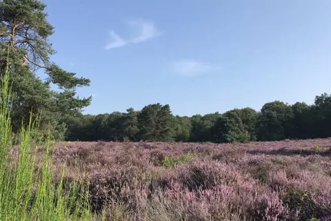 Hotel De Werelt Garderen foto 24