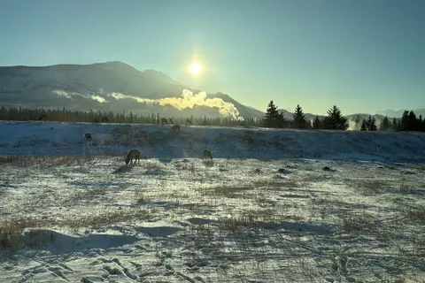 Winterbelevenis Canada op het gemak in Ottawa, foto 20