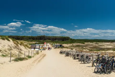 Club Le Vivier - Ms Vacances in Biscarrosse — foto 5